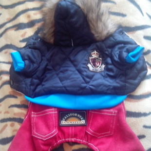 Продам абсолютно новый зимний комбинезон на маленькую собачку 