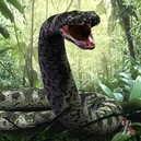 Ученые рассказали, как выглядел первый змей