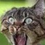 My Avatar