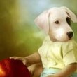 My Avatar