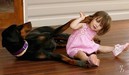 2-летняя девочка играла с доберманом. Внезапно пёс зарычал и схватил ребенка…