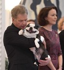 Улыбчивая собака финского президента стала живым мемом и звездой соцсетей
