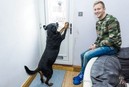Собака спасла жизнь хозяину, открыв дверь медикам «Скорой помощи»
