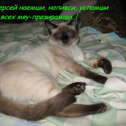 Персей