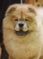 Сэм