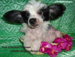 Rus Crimson Empaer  Juliette