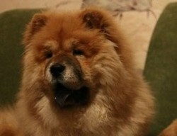 Сэм