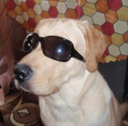 Oskar