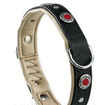 Кожаный ошейник для собак с заклепками GIOTTO BLACK C 2034