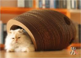 Блохи у кошек